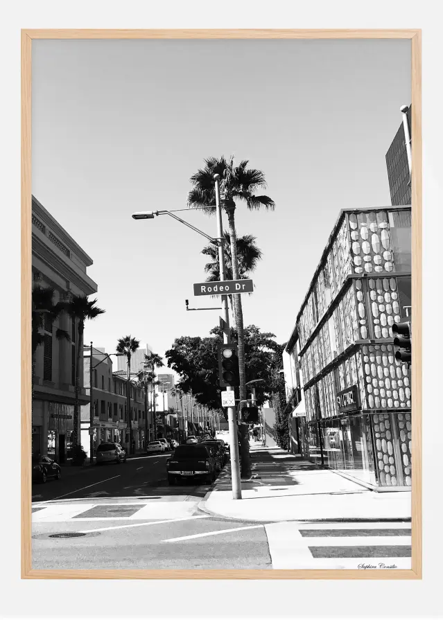Rodeo drive Plakāts