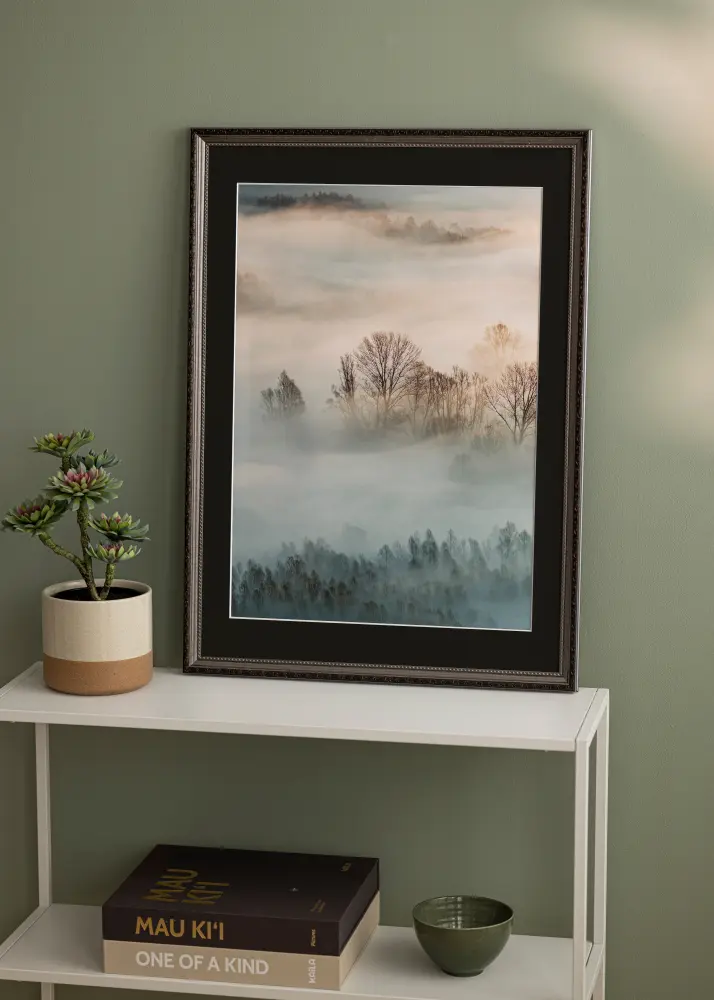 Rāmis Abisko Sudrabs 35x50 cm - Paspartū Melns 9x12 inches
