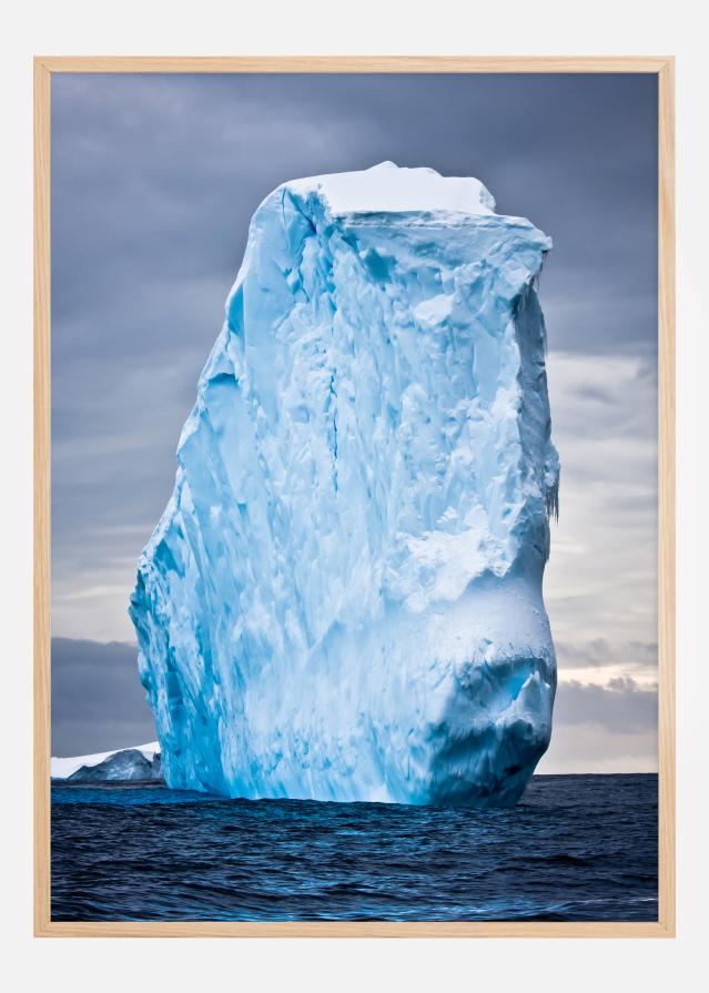 Iceberg Plakāts