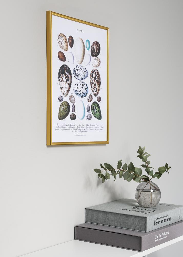 Rāmis Decoline Zelta 40x50 cm