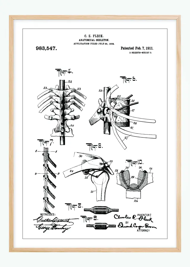 Patenta rasējums - Anatomisks skelets III Plakāts