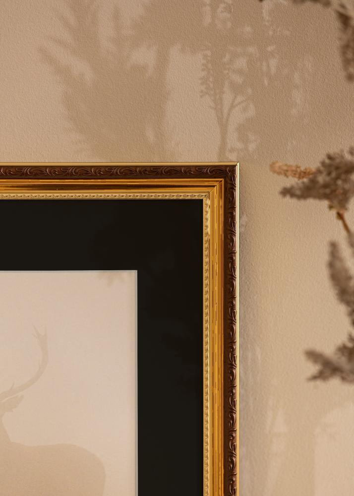 Rāmis Abisko Zelta 30x40 cm - Paspartū Melns 18x27 cm