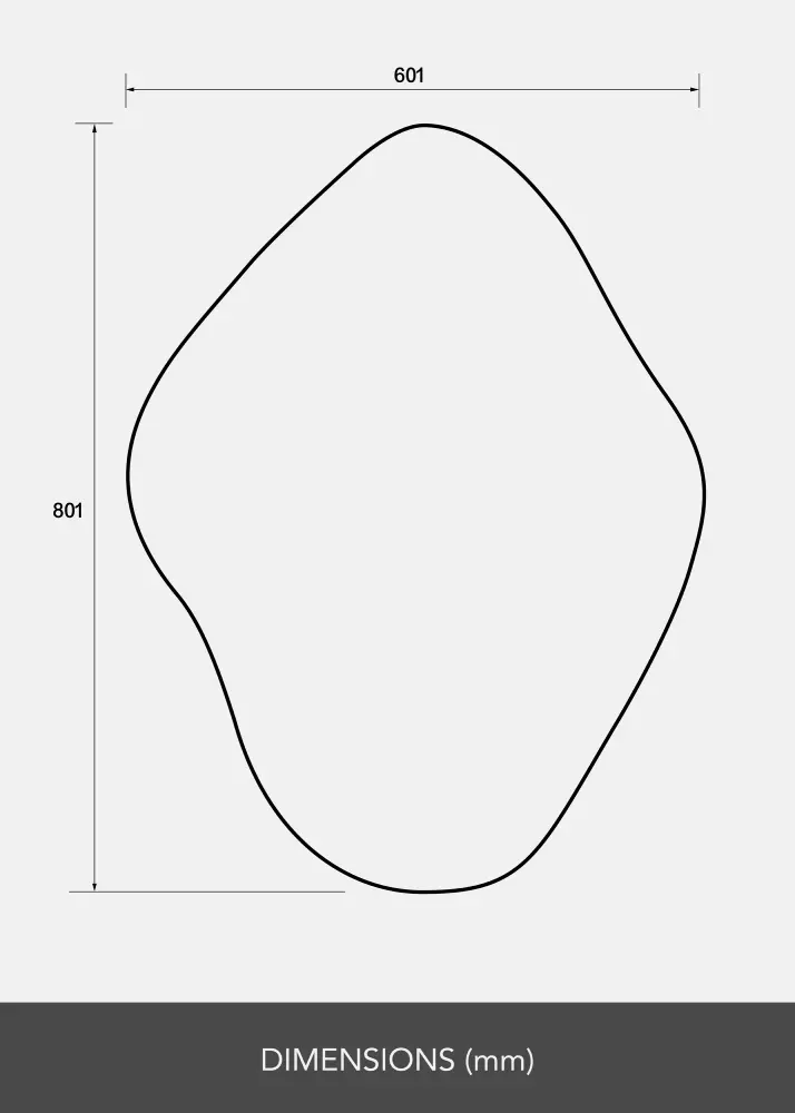 Spogulis Biface 60x80 cm