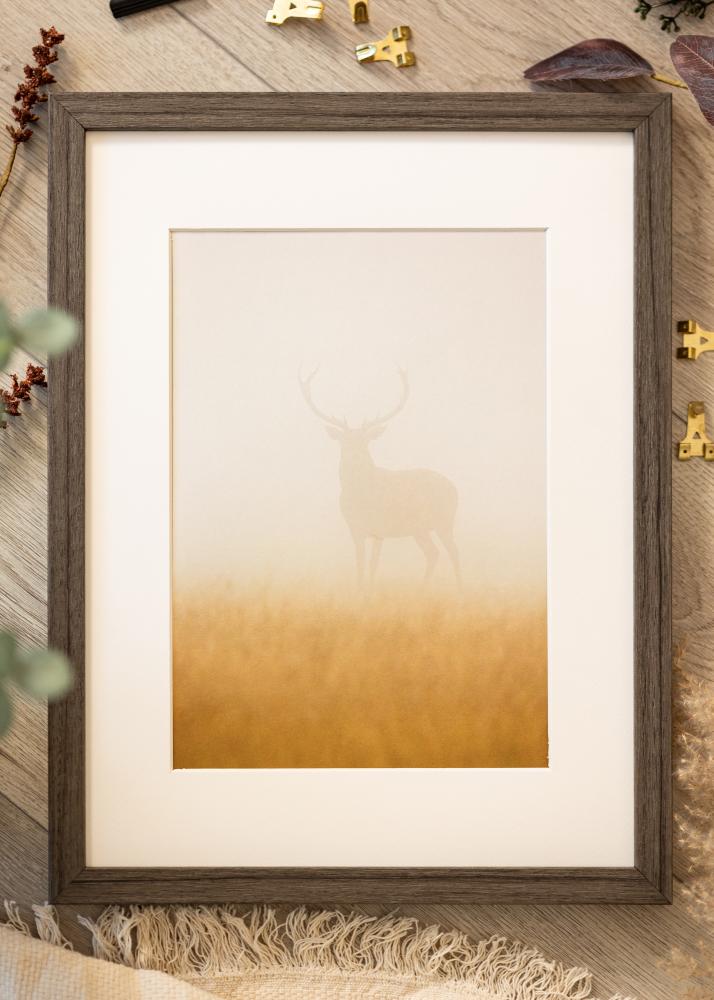 Rāmis Hermes Akrila stikls Grey Oak 60x90 cm