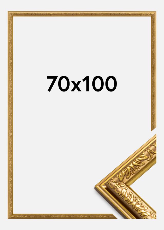 Rāmis Nostalgia Zelta 70x100 cm