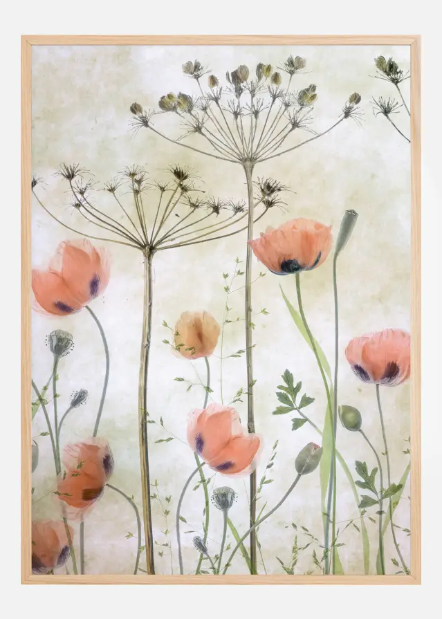 Poppy Meadow Plakāts