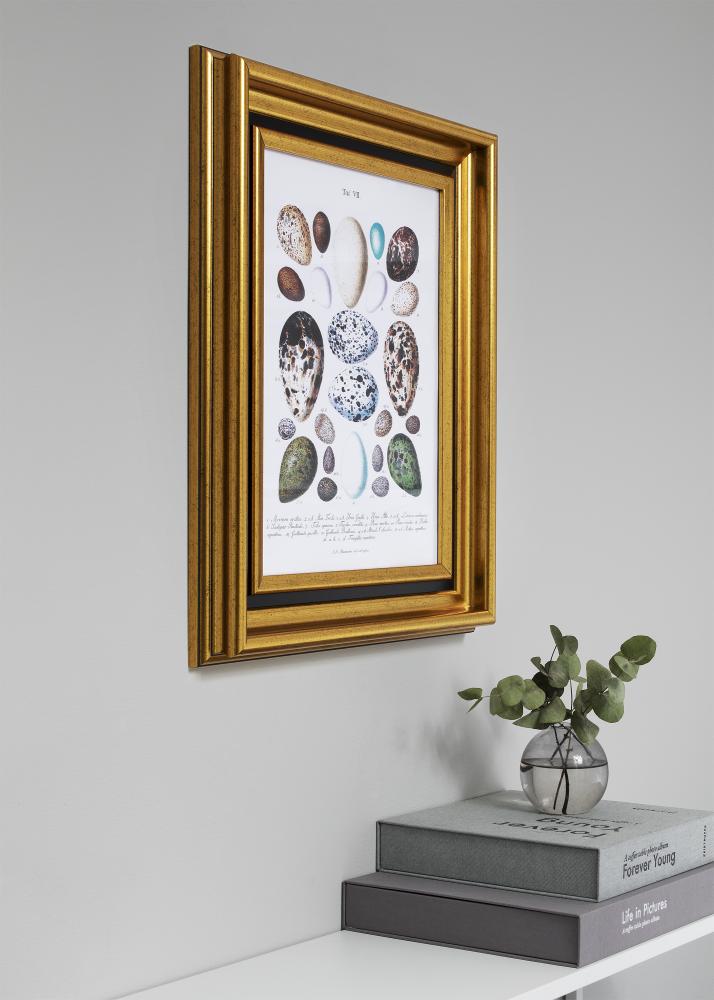 Rāmis Gysinge Premium Zelta 35x100 cm