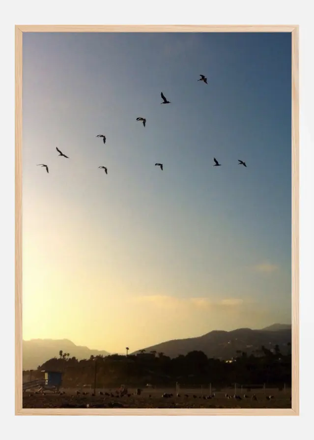 Goodbye Birds Plakāts