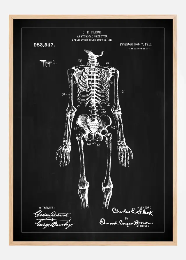 Patenta rasējums - Anatomisks skelets x - Melns Plakāts