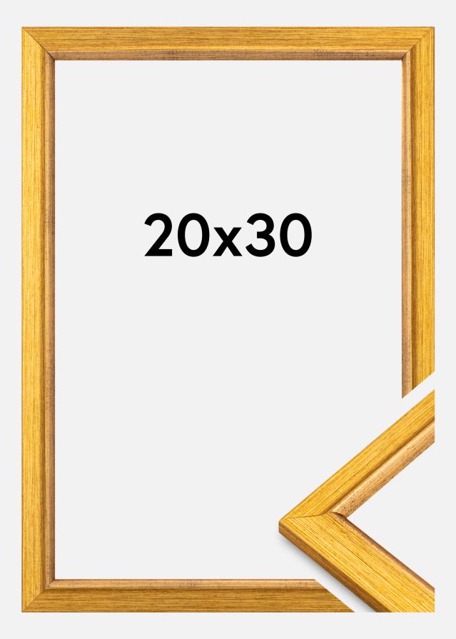 Rāmis Marisa Akrylglas Guld 20x30 cm