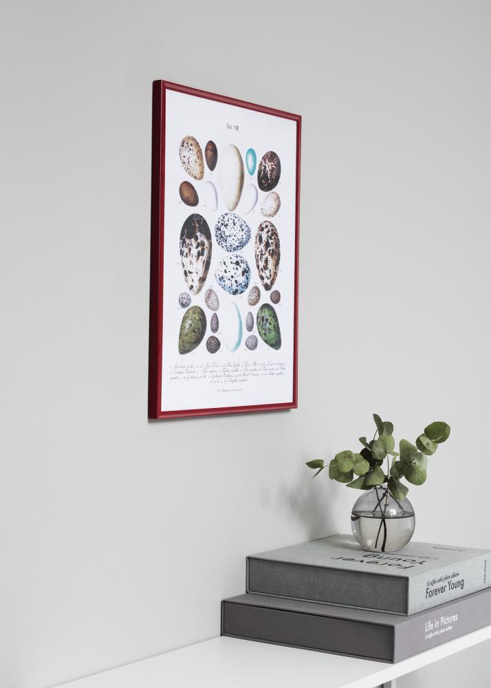 Rāmis New Lifestyle Akrila stikls Sarkans 70x100 cm