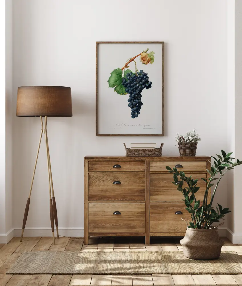 Grapes Plakāts