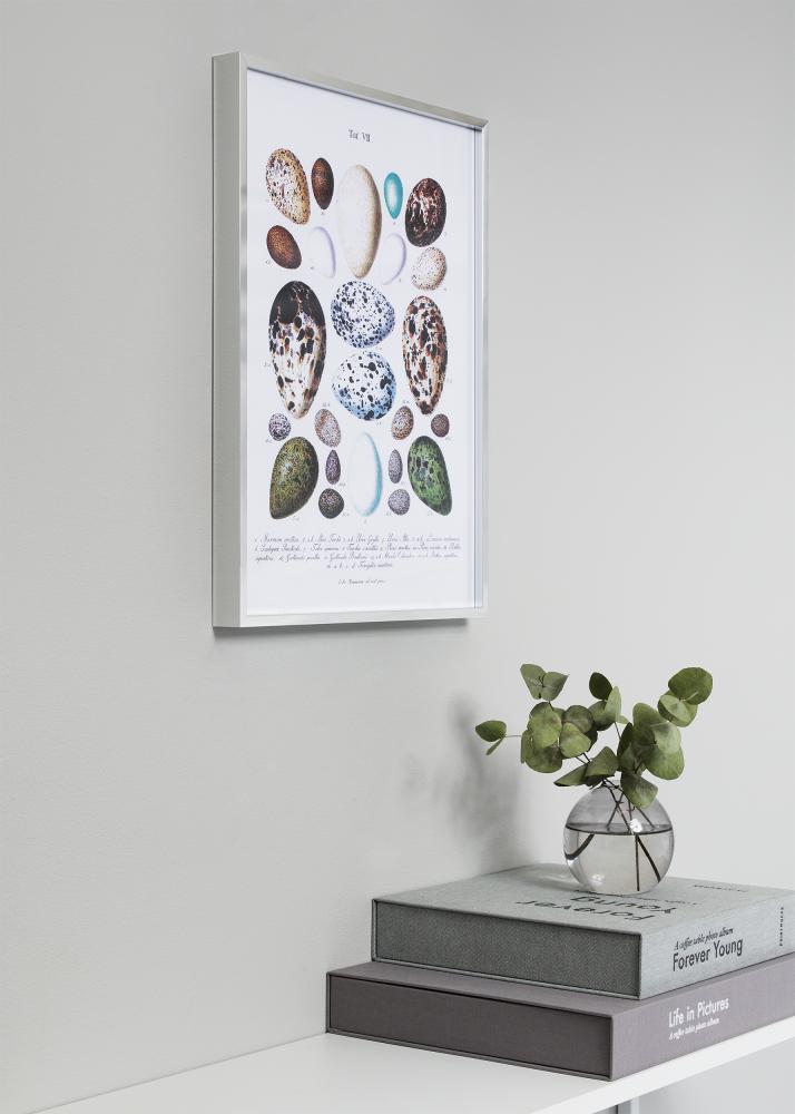 Rāmis Nielsen Premium Alpha Pelēki Zlansēts 84,1x118,9 cm (A0)