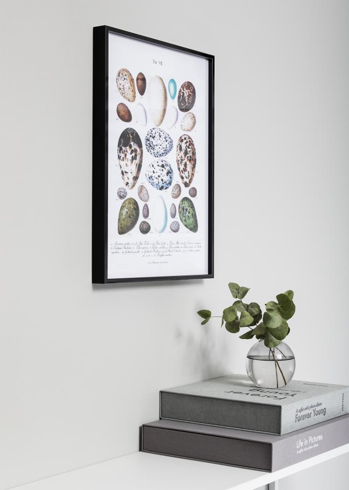 Rāmis Nielsen Premium Alpha Melni Glansēts 84,1x118,9 cm (A0)