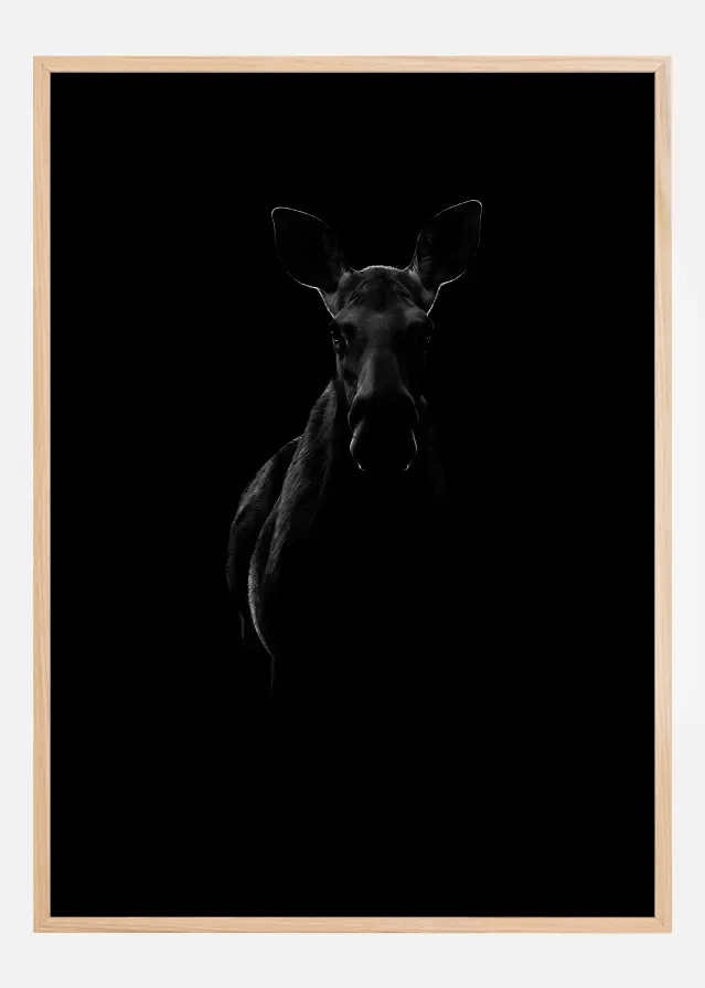 Black Moose Plakāts