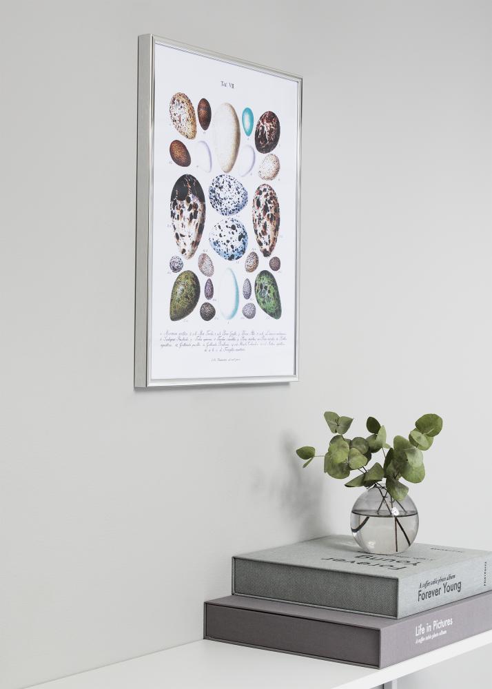 Rāmis Nielsen Premium Classic Sudrabs 29,7x42 cm (A3)