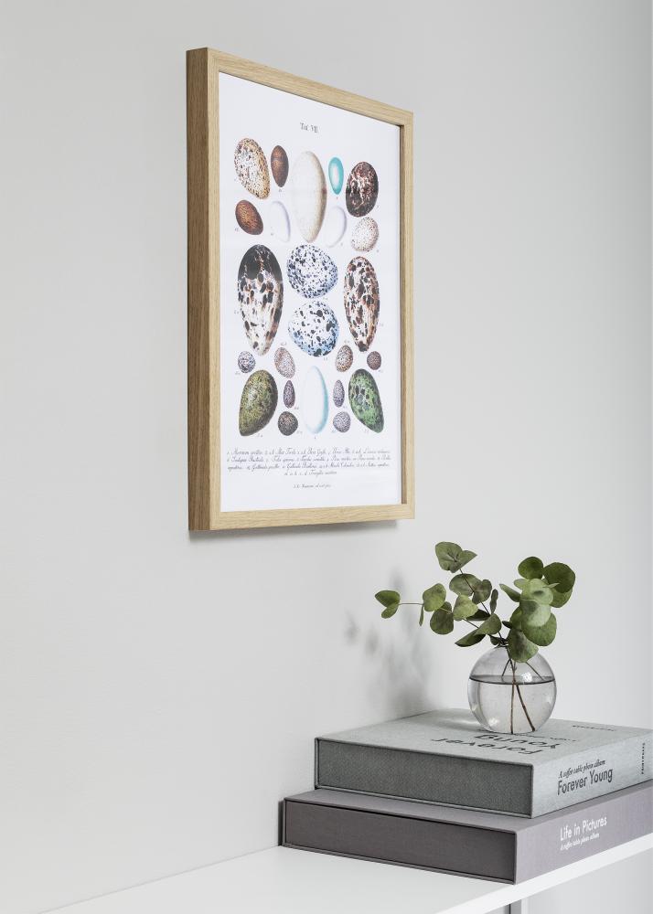 Rāmis Nielsen Premium Quadrum Ozols 40x40 cm