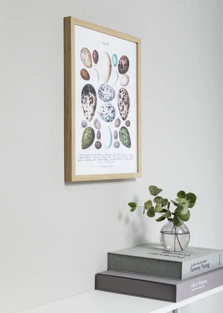 Rāmis Nielsen Premium Quadrum Ozols 30x45 cm