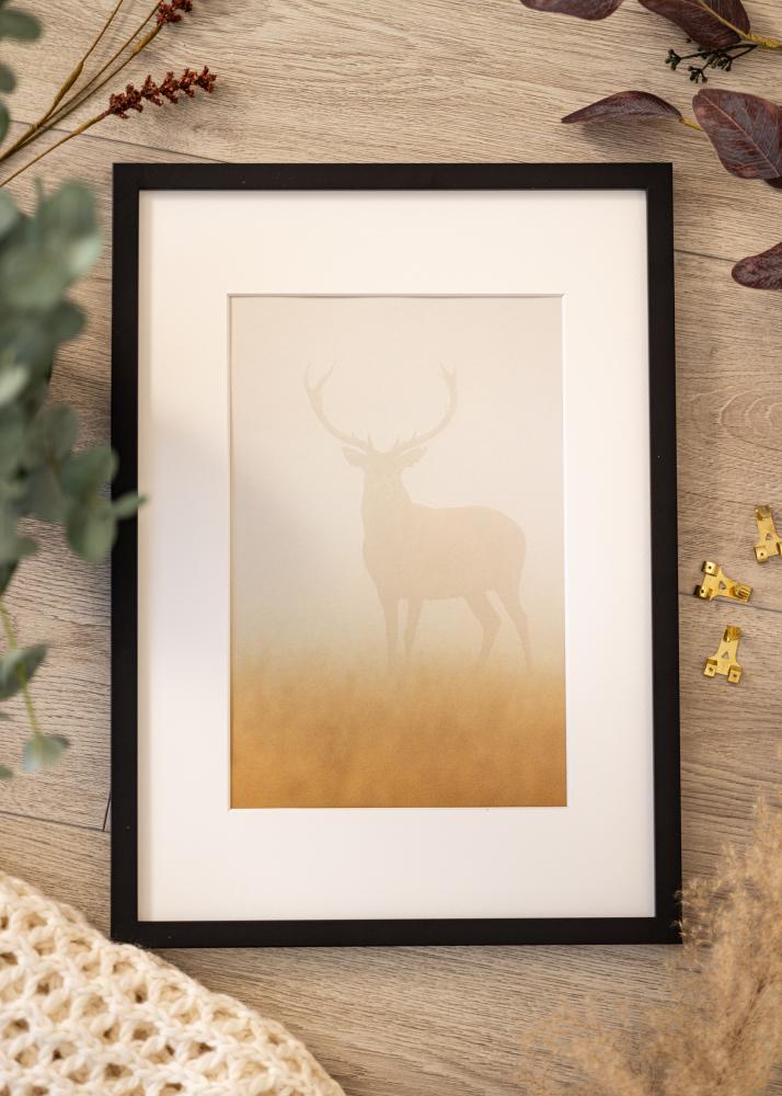 Rāmis Modern Akrila stikls Melns 40x60 cm