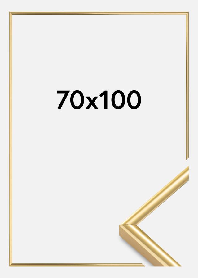 Rāmis Victoria Akrila stikls Zelta 70x100 cm