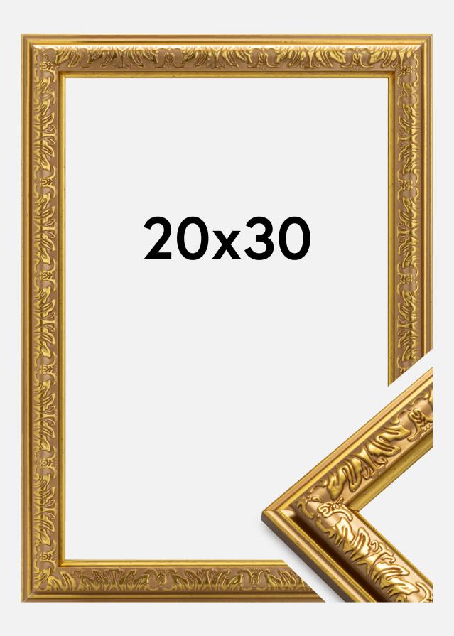 Rāmis Nostalgia Zelta 20x30 cm