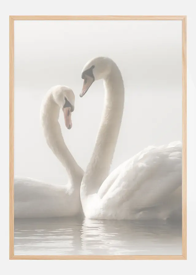 Swan Forever Plakāts