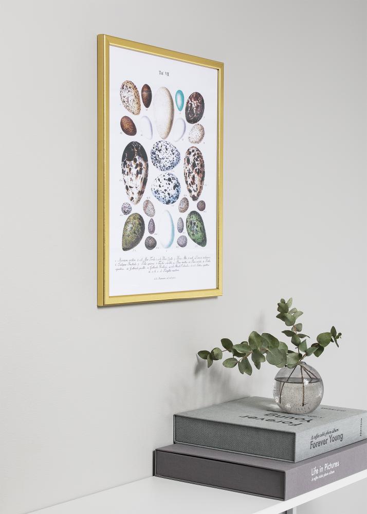 Rāmis Slim Matēts Antirefleksa stikls Zelta 10x10 cm