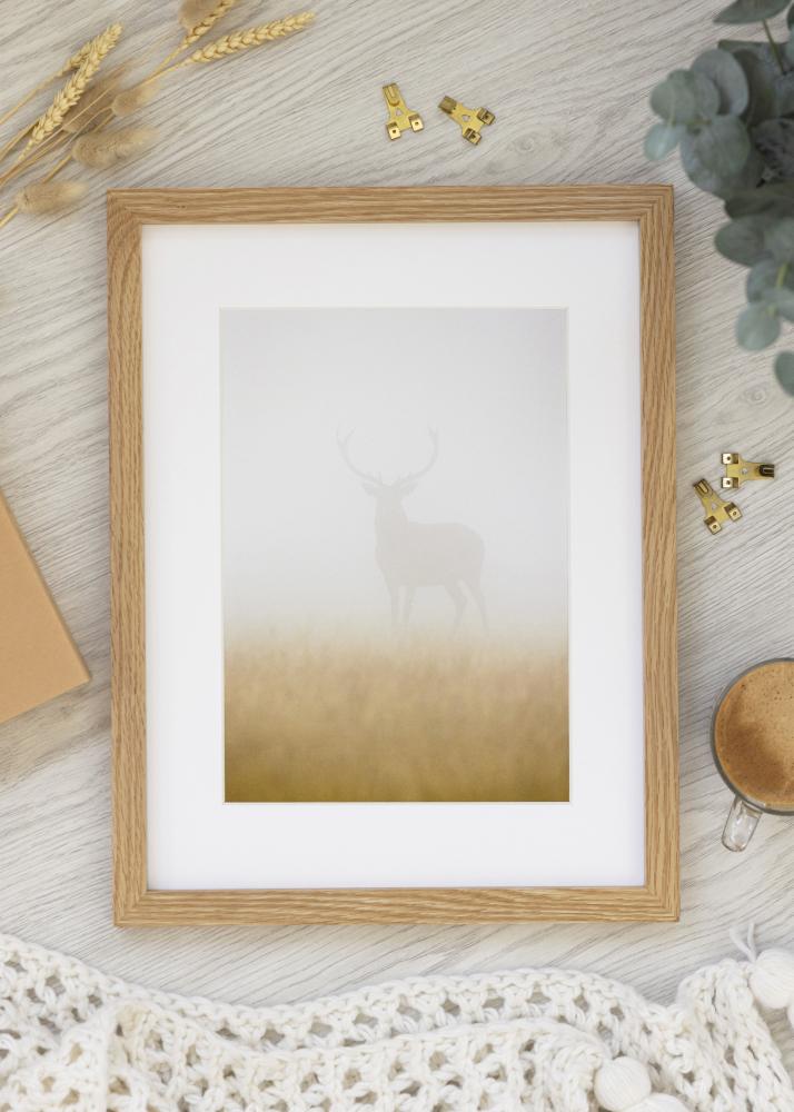 Premium by BGA Ozols 50x70 cm