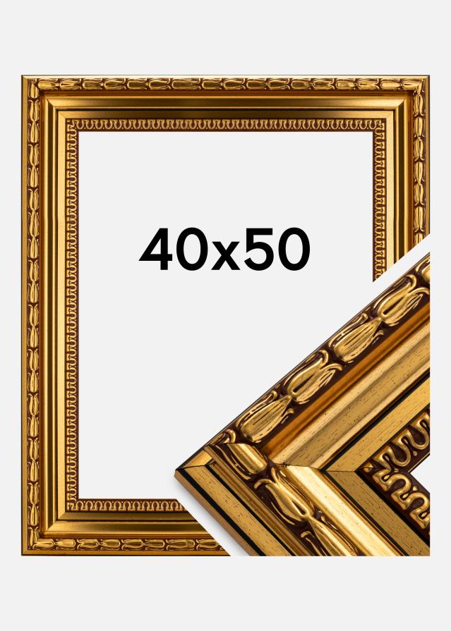 Rāmis Birka Premium Zelta 40x50 cm