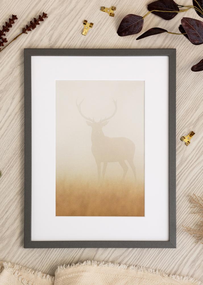 Rāmis Modern Akrila stikls Grafīts 40x60 cm