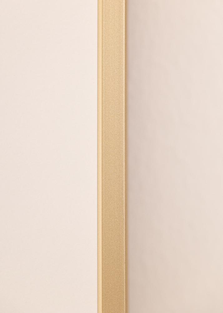 Alumīnija rāmis Akrila stikls Misiņš 70x100 cm