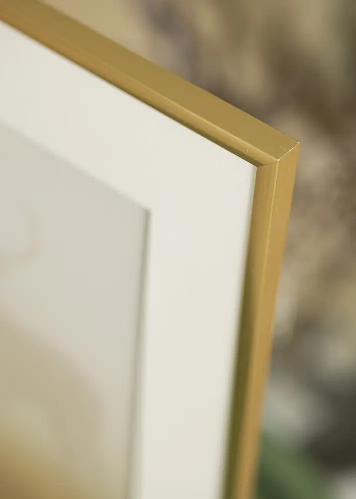 Rāmis New Lifestyle Shiny Gold 40x50 cm - Paspartū Balts 12x16 inches