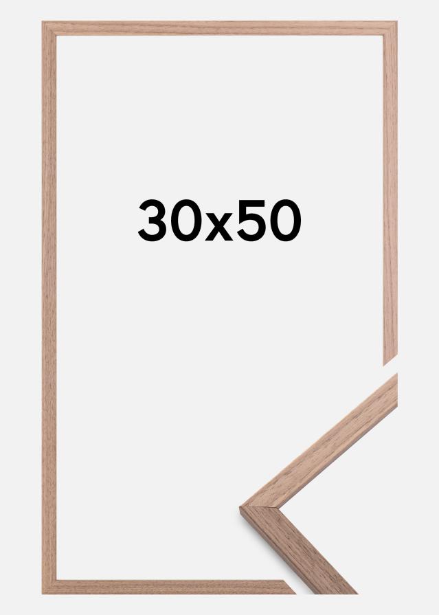 Rāmis Edsbyn Gaišs Valrieksts 30x50 cm