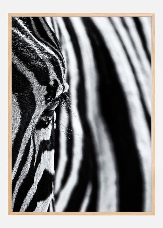 The look of nature Plakāts